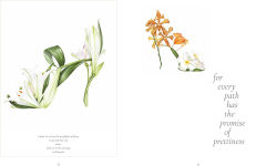 Alternative view 5 of Botanical Shoes, The: A collection of botanical shoe paintings in watercolour and words