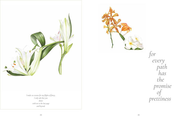 Botanical Shoes, The: A collection of botanical shoe paintings in watercolour and words