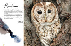 Alternative view 5 of Anna Mason's Watercolour World: Create vibrant, realistic paintings inspired by nature