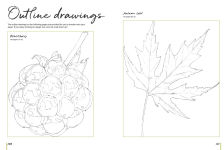 Alternative view 6 of Anna Mason's Watercolour World: Create vibrant, realistic paintings inspired by nature