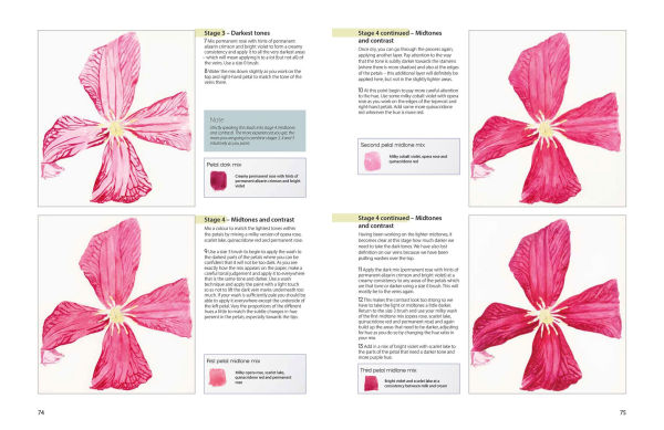 The Modern Flower Painter: Creating vibrant botanical portraits in watercolour