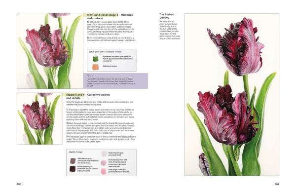 The Modern Flower Painter: Creating vibrant botanical portraits in watercolour