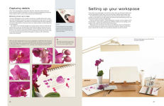 Alternative view 6 of The Modern Flower Painter: Creating vibrant botanical portraits in watercolour