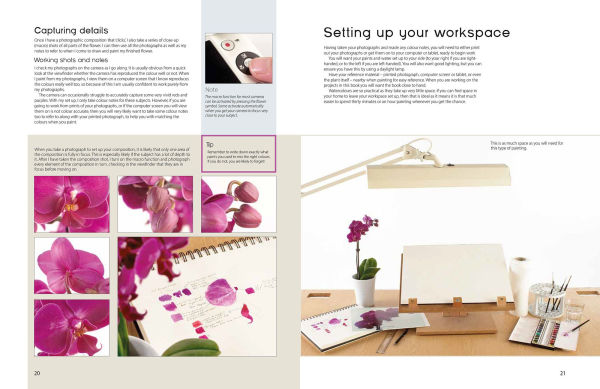 The Modern Flower Painter: Creating vibrant botanical portraits in watercolour