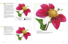 Alternative view 8 of The Modern Flower Painter: Creating vibrant botanical portraits in watercolour