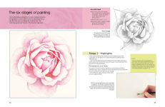 Alternative view 10 of The Modern Flower Painter: Creating vibrant botanical portraits in watercolour