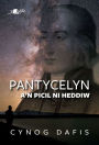 Pantycelyn a'n Picil Ni Heddiw