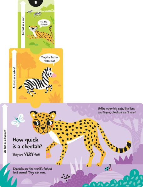 How Loud is a Lion?