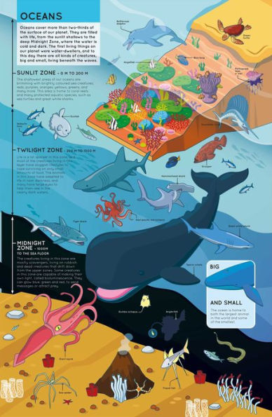 Lift the Flaps: Animals: Lift-the-Flap Book