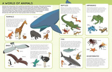 Alternative view 3 of Lift the Flaps: Animals: Lift-the-Flap Book