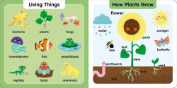 Alternative view 2 of 100 First Science Words: STEM Picture Dictionary