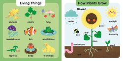 Alternative view 4 of 100 First Science Words: STEM Picture Dictionary