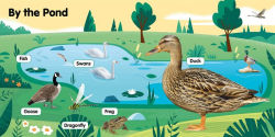 Alternative view 2 of Super Soft Farm Animals: Photographic Touch & Feel Board Book for Babies and Toddlers