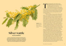 Alternative view 2 of Kew - Parched: 50 plants that thrive and survive in a dry garden