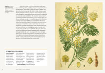 Alternative view 3 of Kew - Parched: 50 plants that thrive and survive in a dry garden