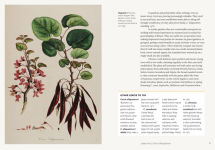Alternative view 7 of Kew - Parched: 50 plants that thrive and survive in a dry garden