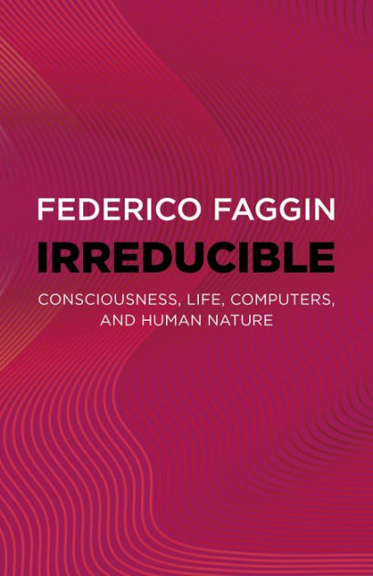 In Flagranti – Superego – Vinyl (12