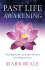 Past Life Awakening: Seven Regression Case Studies Illustrate Seven Spiritual Laws