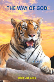 Title: The Way of God: It Just Is, Author: Sher Gill Galib