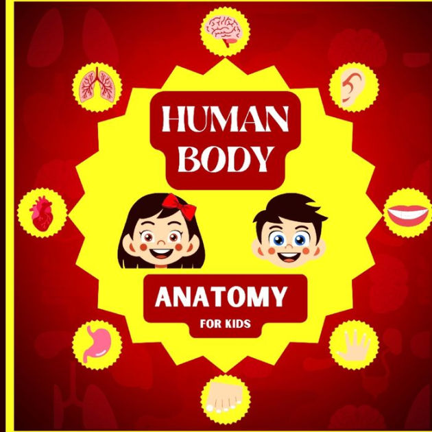 Human Body Anatomy For Kids An Introduction To The Human Body For Kids
