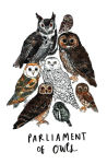 Alternative view 5 of The Magpie's Nest: A Treasury of Bird Folk Tales