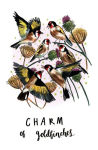 Alternative view 6 of The Magpie's Nest: A Treasury of Bird Folk Tales