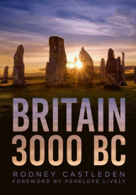 Title: Britain 3000 BC, Author: Rodney Castleden