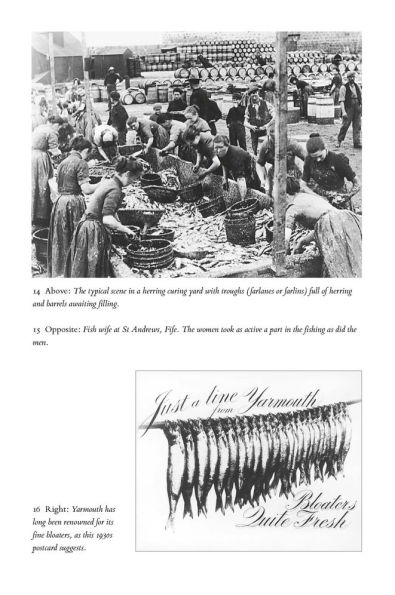 Herring: A History of the Silver Darlings