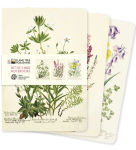 Alternative view 1 of Royal Botanic Garden Edinburgh Set of 3 Midi Notebooks