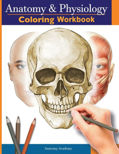 our　Perfect　Essential　and　in　Physiology　for　Guide　Interested　Anyone　Coloring　Academy,　Paperback　and　The　School　Medical　Gift　Anatomy　Level　College　by　Study　Barnes　Human　Students,　Nurses　Workbook:　Anatomy　Body