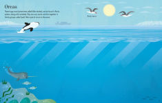Alternative view 2 of First Sticker Book Narwhals