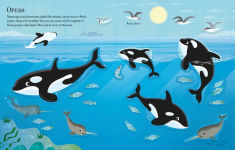 Alternative view 4 of First Sticker Book Narwhals