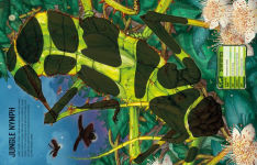 Alternative view 5 of Build Your own Giant Bugs Sticker Book