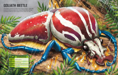 Alternative view 8 of Build Your own Giant Bugs Sticker Book