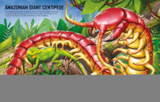 Alternative view 10 of Build Your own Giant Bugs Sticker Book