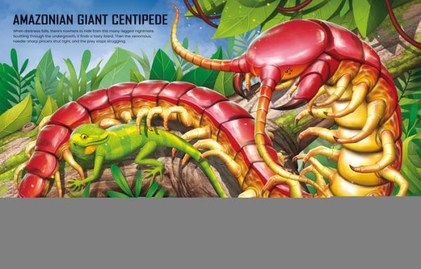 Build Your own Giant Bugs Sticker Book