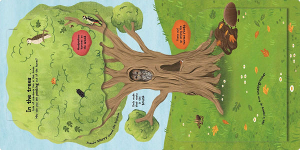 Lift to Learn: Animal Homes: with Giant Flaps to Discover Amazing Animal Habitats