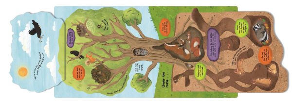 Lift to Learn: Animal Homes: with Giant Flaps to Discover Amazing Animal Habitats