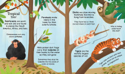 Alternative view 2 of First Reference: Baby Animals: With Easy-to-Lift Flaps!