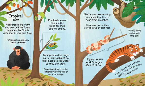 First Reference: Baby Animals: With Easy-to-Lift Flaps!