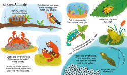 Alternative view 3 of First Reference: Baby Animals: With Easy-to-Lift Flaps!