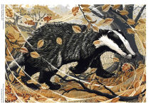 Alternative view 3 of Adult Sustainable Jigsaw Puzzle Martin Truefitt-Baker: Blustery Day Badger: 1000-pieces. Ethical, Sustainable, Earth-friendly