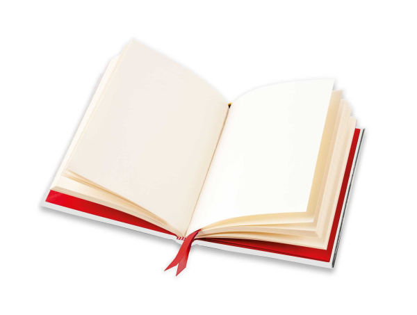 Alice's Adventures in Wonderland: White Rabbit (Foiled Blank Journal)