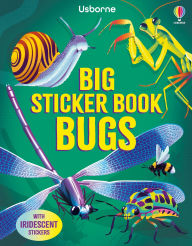 Title: Big Sticker Book Bugs, Author: Alice James