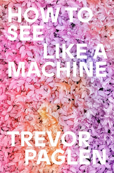 How to See Like a Machine: Art in the Age of AI
