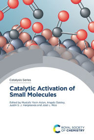 Title: Catalytic Activation of Small Molecules, Author: Mustafa Yasin Aslan