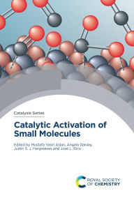 Title: Catalytic Activation of Small Molecules, Author: Mustafa Yasin Aslan