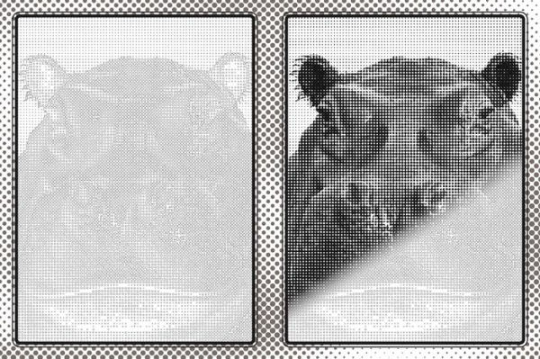 Reveal Art: Animals: Fill in the Dots to Reveal the Art!