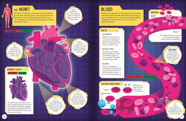 Secrets of the Human Body: Discover Amazing Facts and Hidden Images with the Super Scanner