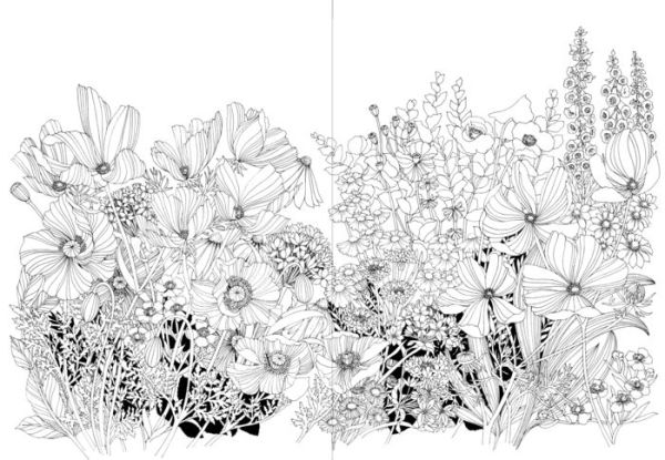 Leila Duly's Beautiful Planet: An Intricate Coloring Book